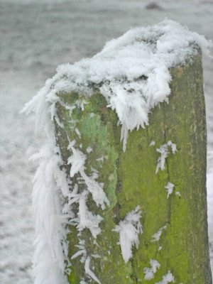 gatepost2.jpg
