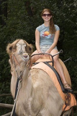 kayceecamel.tif