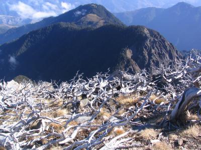 Taiwan Mountains