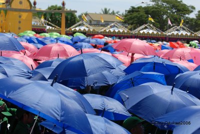 Umbrellas of many colors