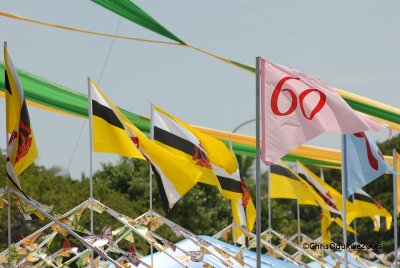 Flags .....