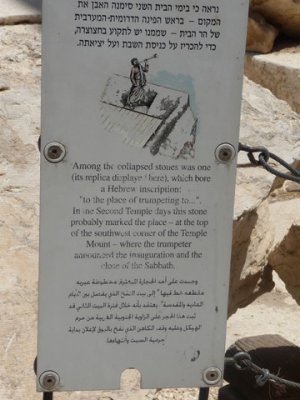 P1010153.jpg