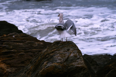 SDIM8573.jpg