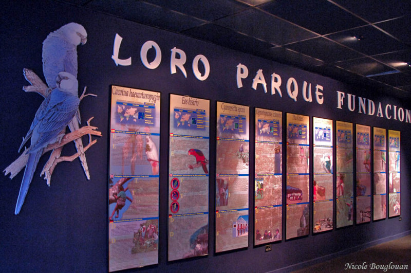 Loro Parque Foundation