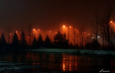foggy night 0291 night photo