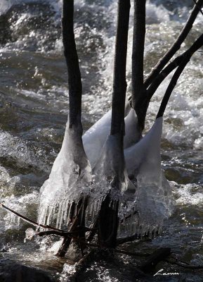 ice 0974