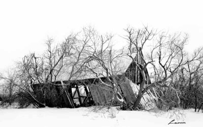 lean too barn 100 B&W