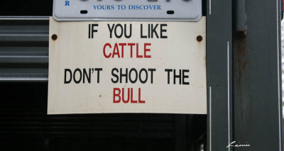 don't shoot the bull 7528