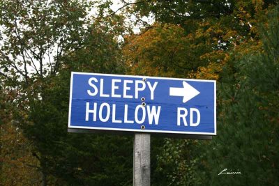 sleepy hollow  7598