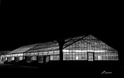 the greenhouse 0466 night photo
