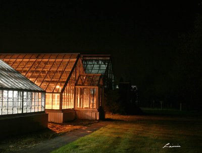 greenhouse 0560 night photo