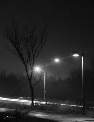 night lights 1100