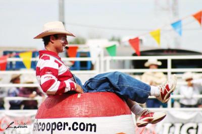 clown in a barrell - rodeo