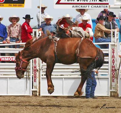 bronc 19 - rodeo