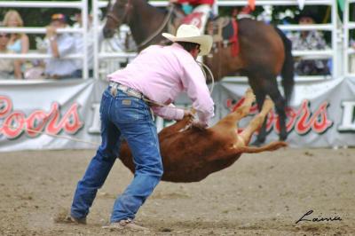 calf roping 6 - rodeo
