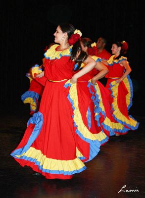 Venezuela Independence Day Gala -  5