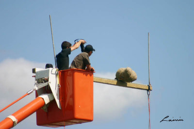 Glengarry Highland Games -  16