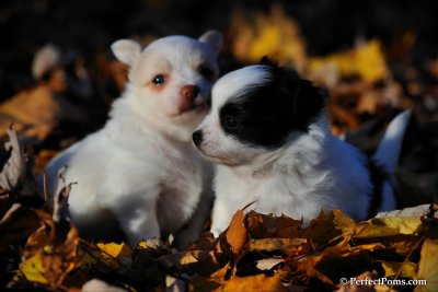 Nov25_11_121.jpg