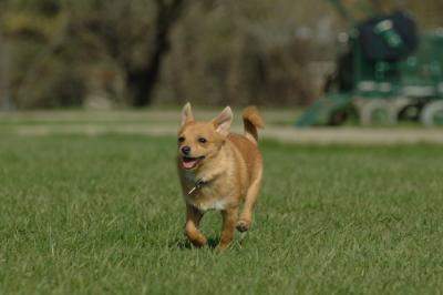 Apr26x_06_645.JPG