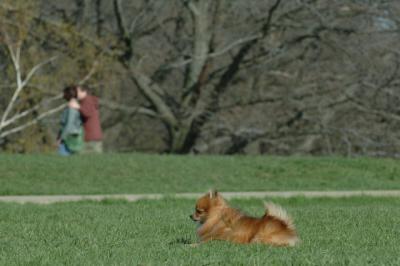 Apr26x_06_691.JPG