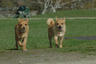 Apr26x_06_699.JPG