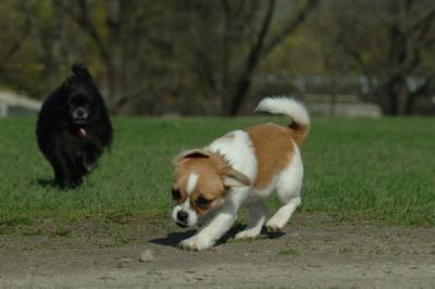 Apr26x_06_710.JPG