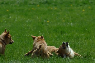 Apr26x_06_759.JPG