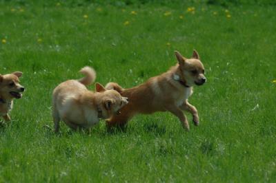 Apr26x_06_769.JPG