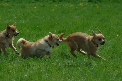 Apr26x_06_770.JPG