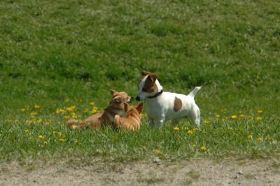 Apr26x_06_414.JPG