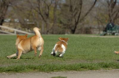 Apr26_06_260.JPG