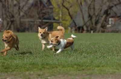 Apr26_06_276.JPG