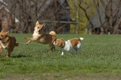 Apr26_06_277.JPG