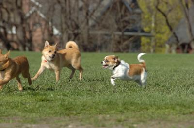 Apr26_06_278.JPG