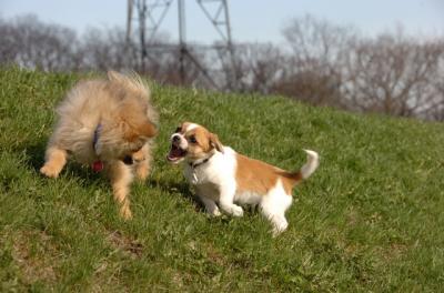 Apr26_06_298.JPG