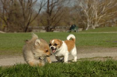 Apr26_06_301.JPG