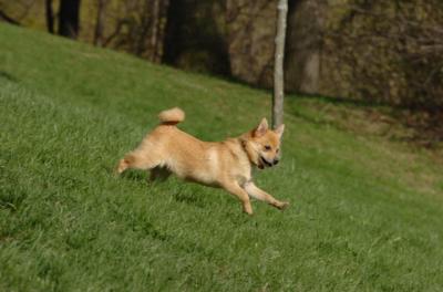 Apr26_06_340.JPG