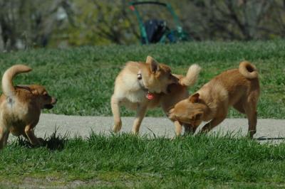 Apr27x_06_296.JPG