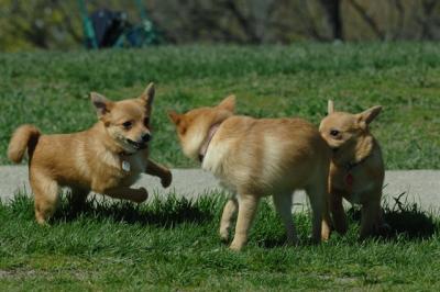 Apr27x_06_297.JPG