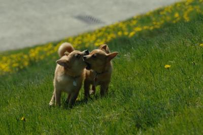 Apr27x_06_317.JPG