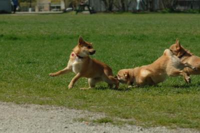 Apr27x_06_168.JPG