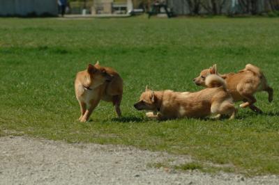 Apr27x_06_169.JPG