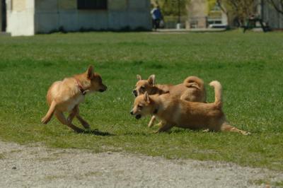 Apr27x_06_171.JPG