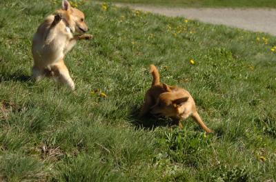 Apr27hs_06_776.JPG