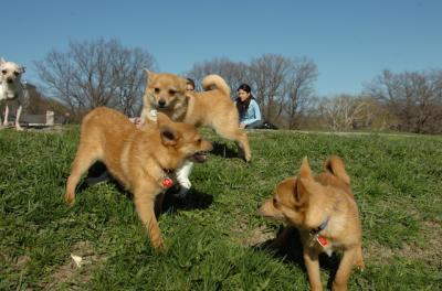 Apr27hs_06_527.JPG