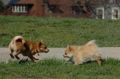 Apr27hs_06_268.JPG
