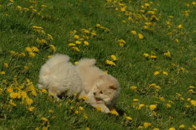 Apr29_06_1602.JPG