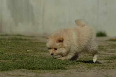 Apr29_06_1444.JPG