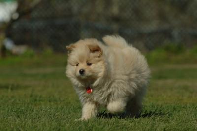 Apr29_06_1454.JPG