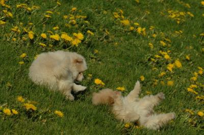 Apr29_06_1575.JPG